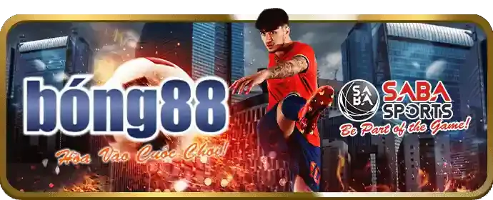 Đá gà Viebet